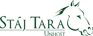 Primary Raster logo